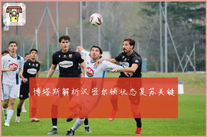 博塔斯解析汉密尔顿状态复苏关键