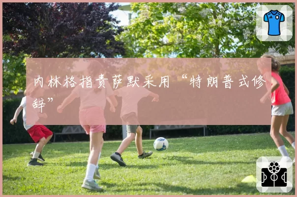 内林格指责萨默采用“特朗普式修辞”